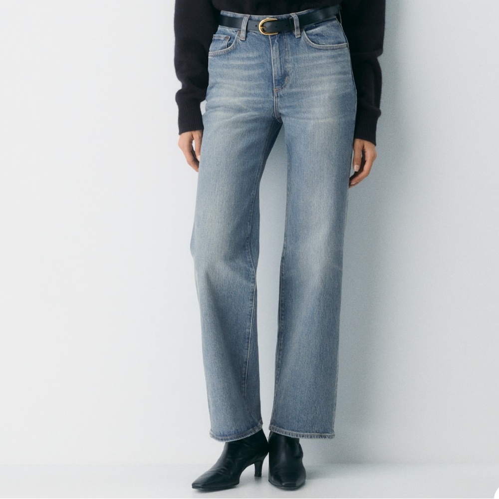 Denim Forum (Aritzia) Remy Hi-rise Wide Jean